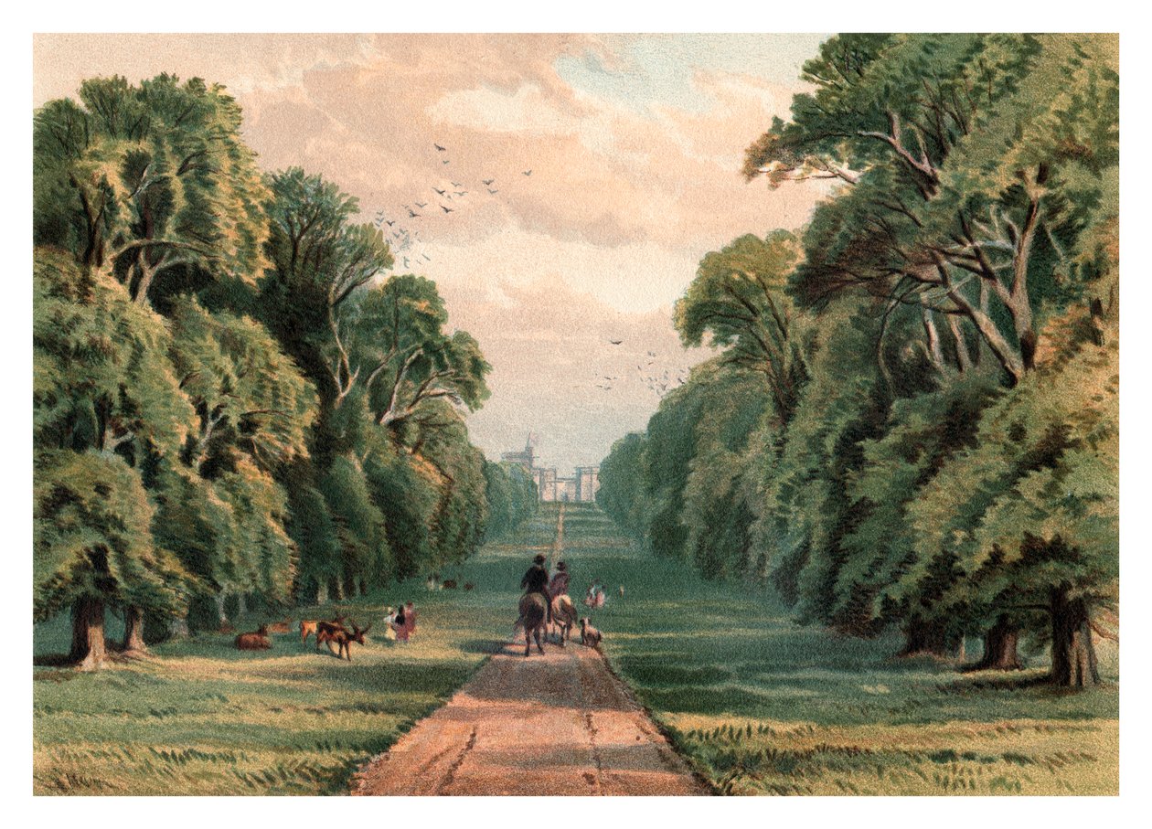 Long Walk, Windsor Park, 1880 tekijältä Unbekannt