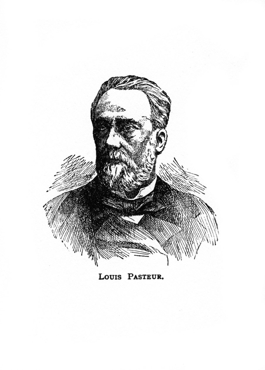 Louis Pasteur, 1800-luvun ranskalainen mikrobiologi ja kemisti, 1900-luku tekijältä Unbekannt