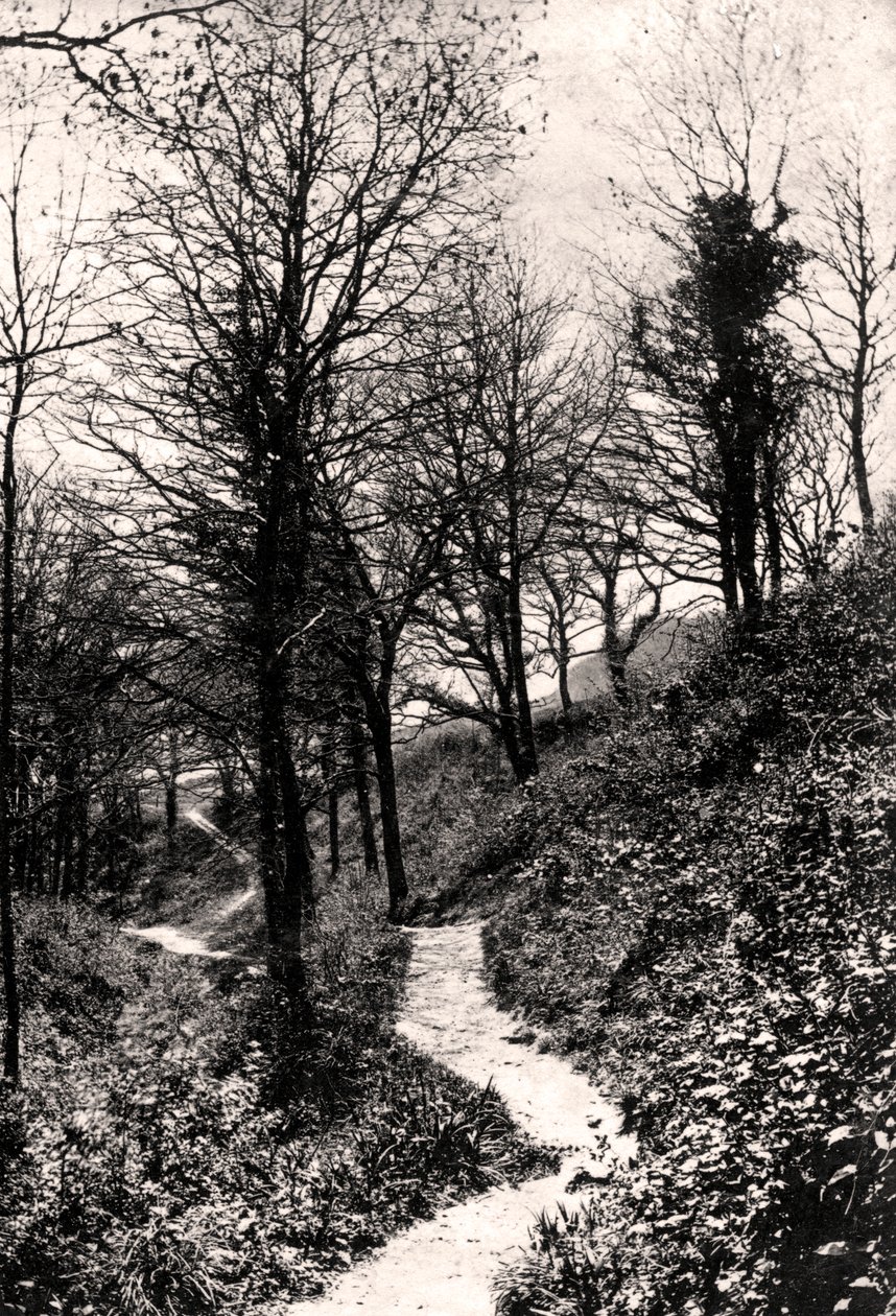 Lovers Lane, Fairlight, Hastings, Sussex tekijältä Unbekannt