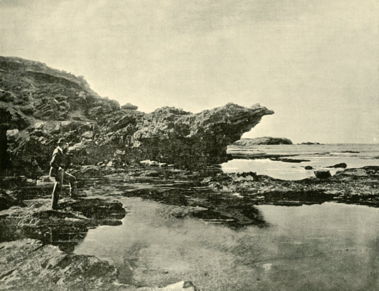 Laskuvesi, Shelly Beach, Warrnambool, 1901. tekijältä Unbekannt