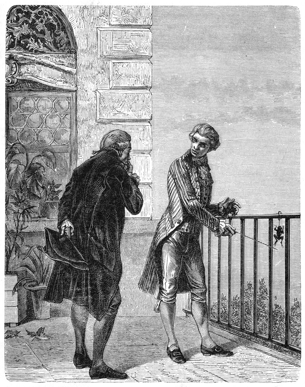 Luigi Galvani, 1700-luvun italialainen fysiologi, 1880 tekijältä Unbekannt