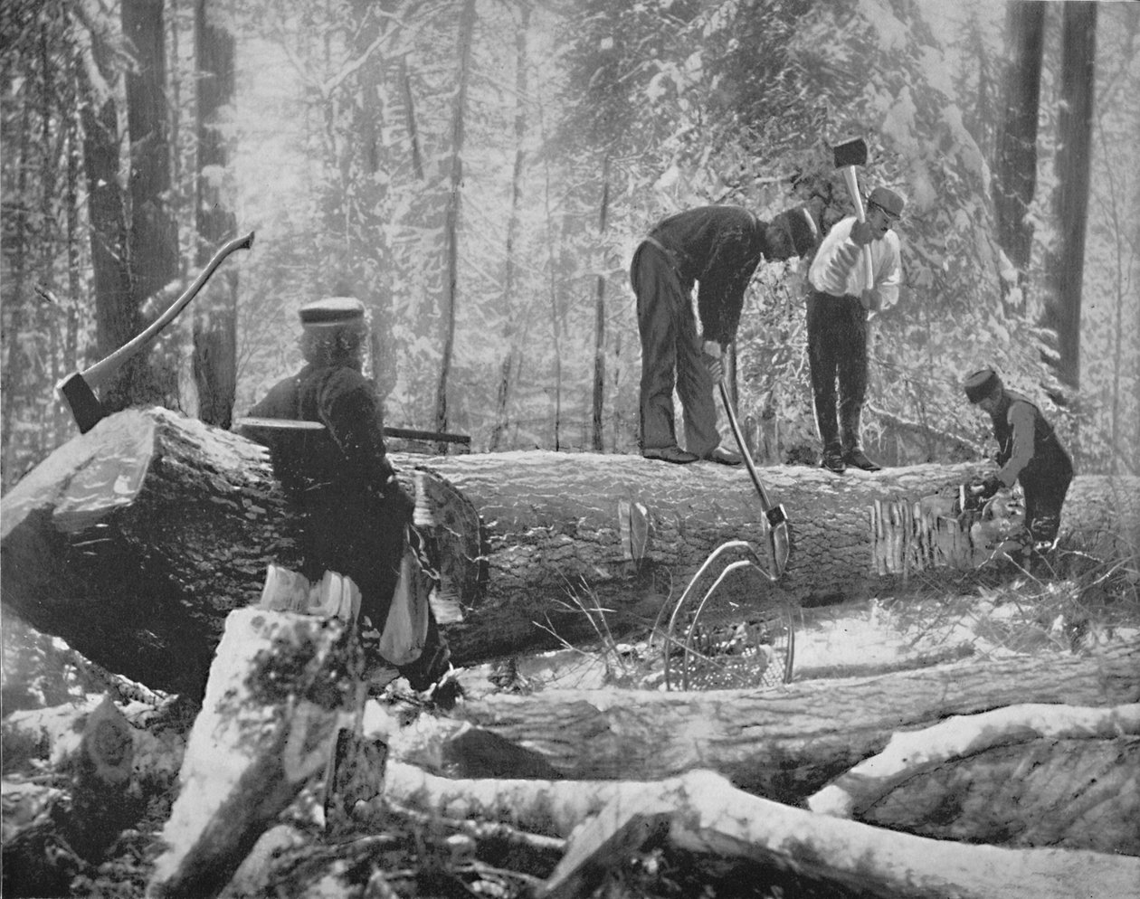 Puutavaraa Ottawa-joella, Kanadassa, 1897. tekijältä Unbekannt
