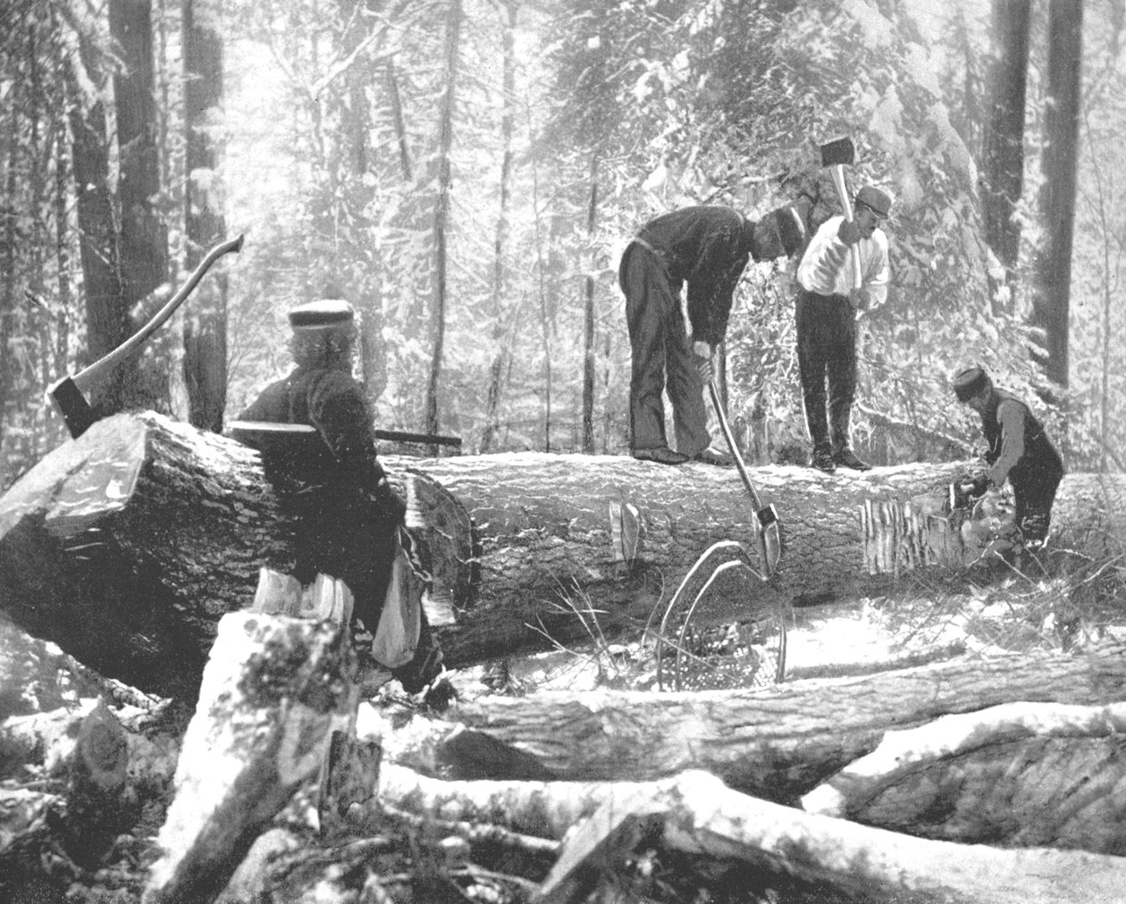 Puutavaraa Ottawa-joella, Kanadassa, 1900. tekijältä Unbekannt