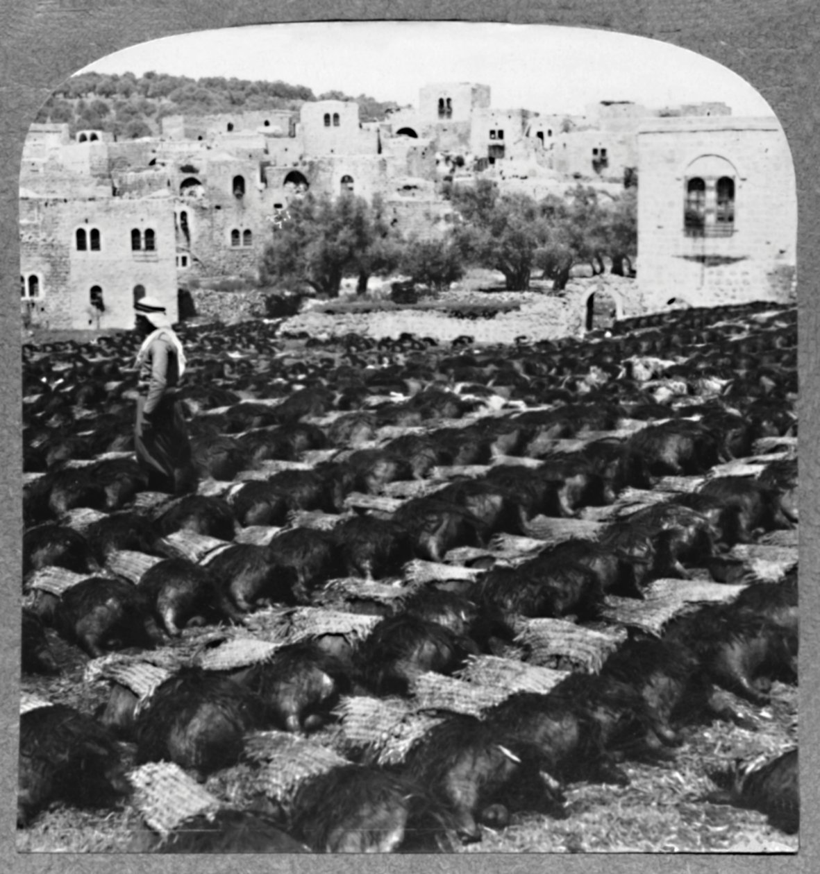 Viinipullojen valmistus, Hebron, c1900 tekijältä Unbekannt