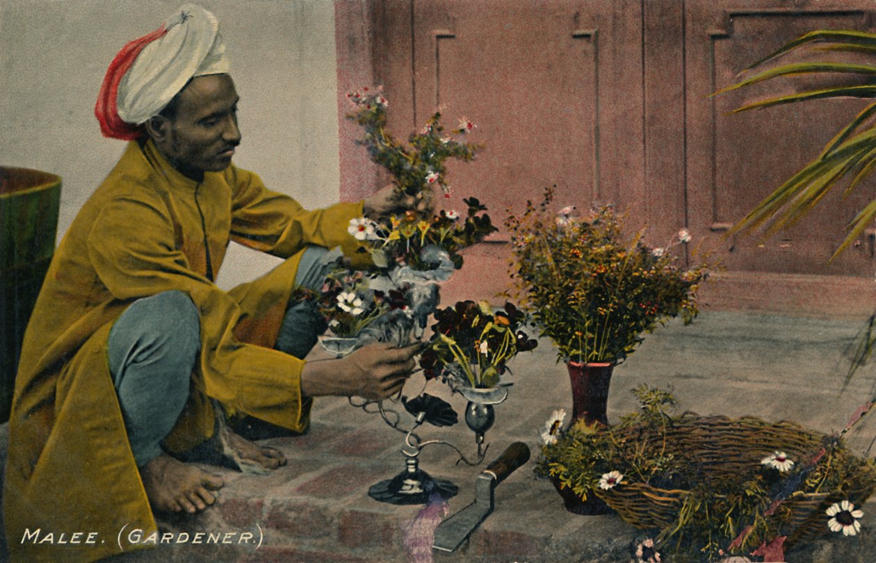 Malee. Puutarhuri, 1910. tekijältä Unbekannt