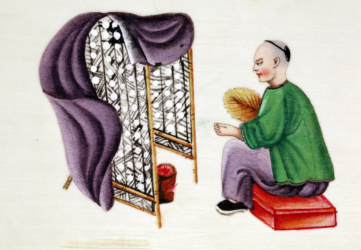 Mies kuivaamassa silkkiäistoukkien koteloita, 1800-luku tekijältä Unbekannt