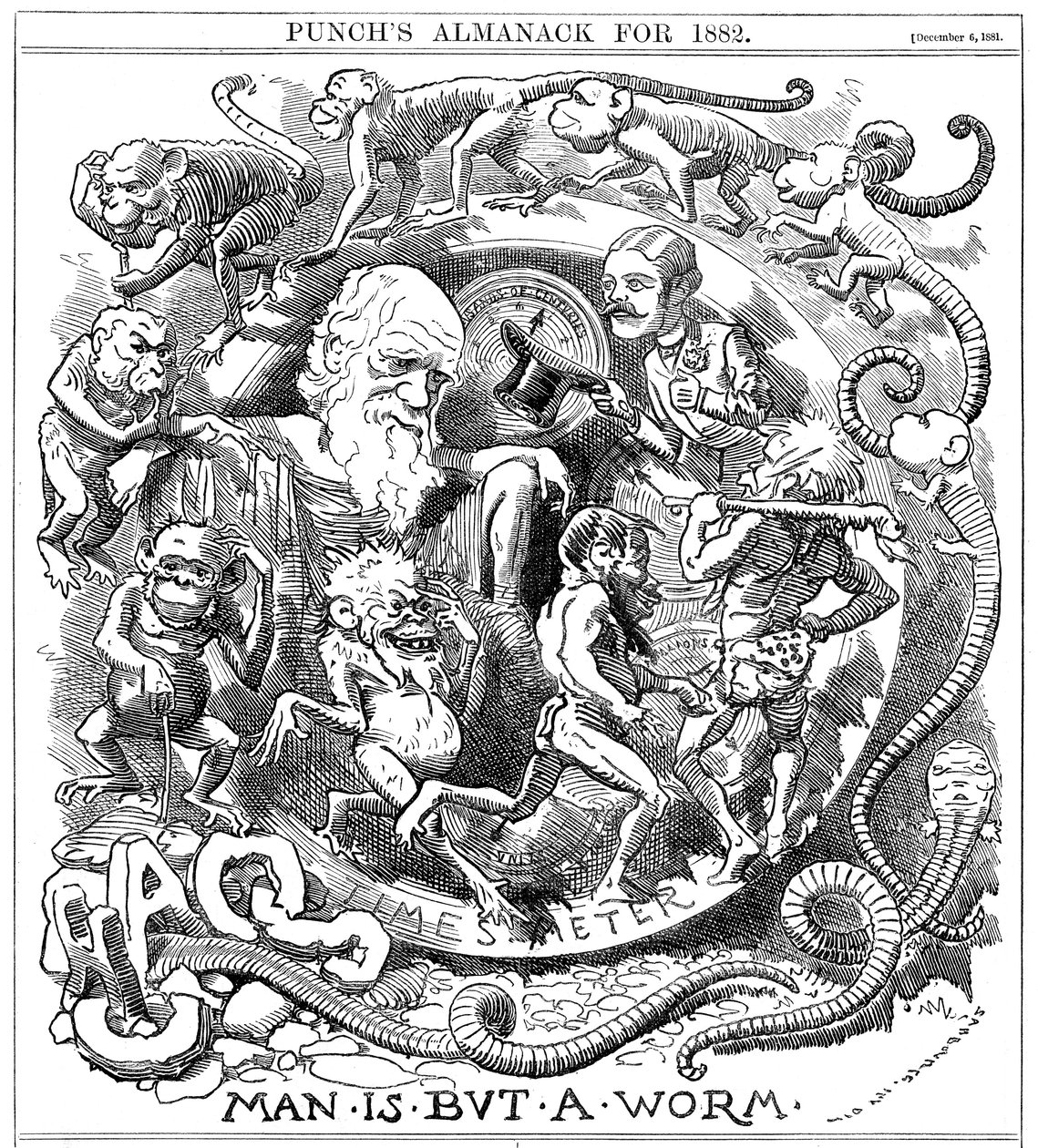 Ihminen on vain mato, sarjakuva Punchista, joka näyttää evoluution madosta ihmiseksi, 1881 tekijältä Unbekannt