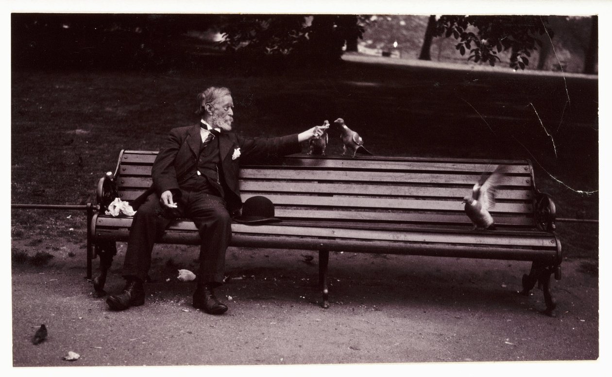 Mies puistonpenkillä, n. 1920 Tuntemattoman valokuvaajan ottama valokuva puistonpenkillä istuvasta miehestä ruokkimassa kyyhkysiä noin vuonna 1920 tekijältä Unbekannt