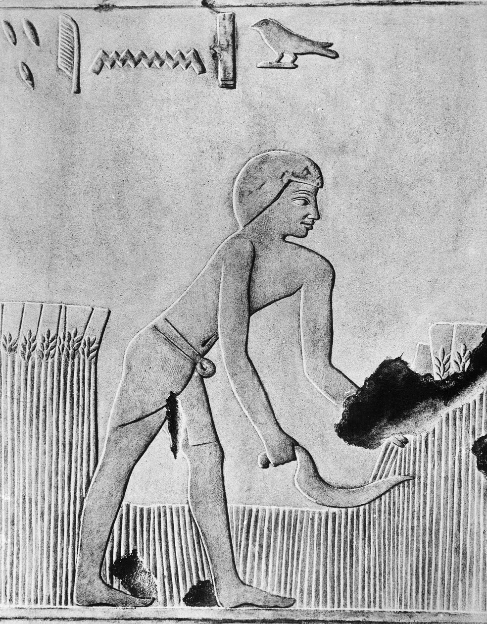 Mies, joka niittää ohraa sirppillä, luultavasti puusta, jossa on piikivi, muinainen egyptiläinen, n. 240 eaa. tekijältä Unbekannt