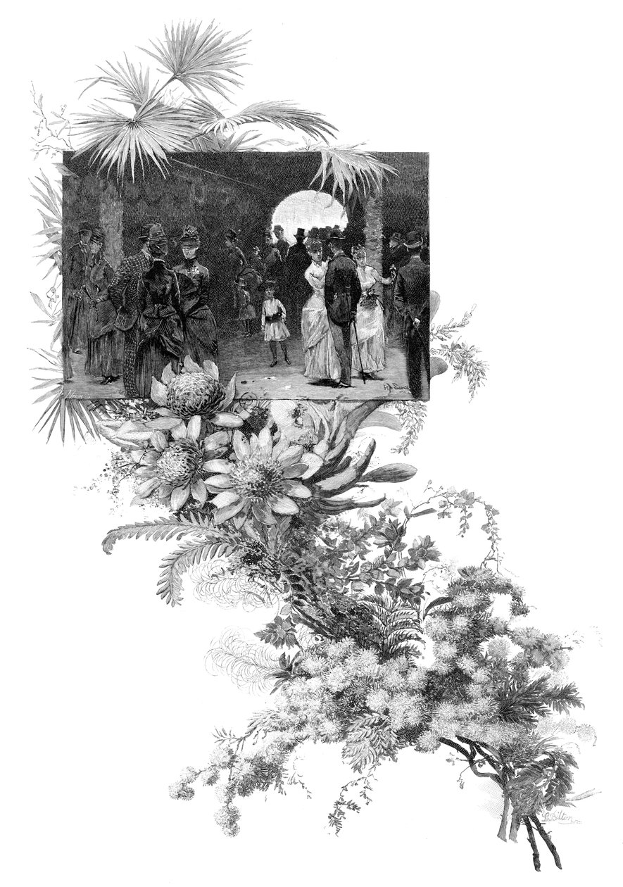 Miehekäs villikukkanäyttely, Sydney, New South Wales, Australia, 1886 tekijältä Unbekannt