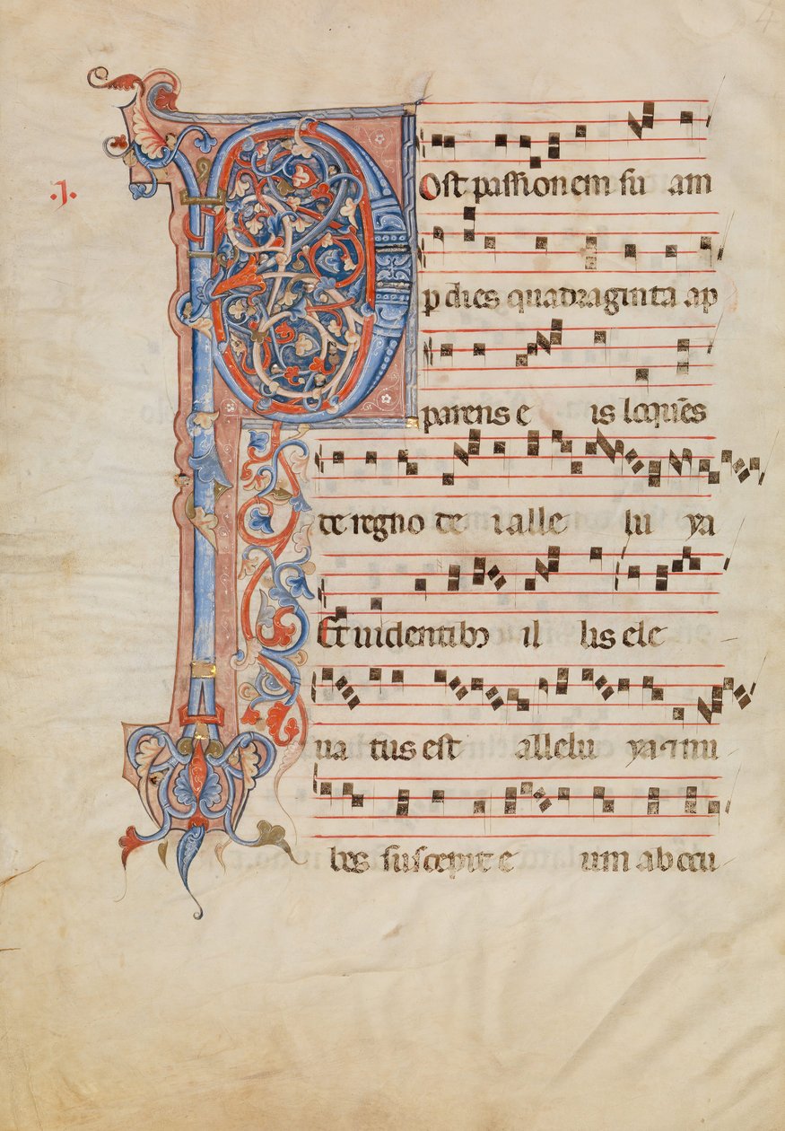 Käsikirjoituslehti folioituneella alkukirjaimella P, antifonaarista, italia, n. 1250-60. tekijältä Unbekannt