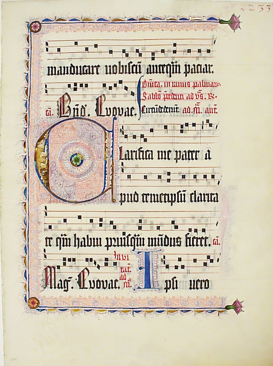 Käsikirjoituslehti alkukirjaimella C, antifonaarista, saksa, n. 1425-50. tekijältä Unbekannt