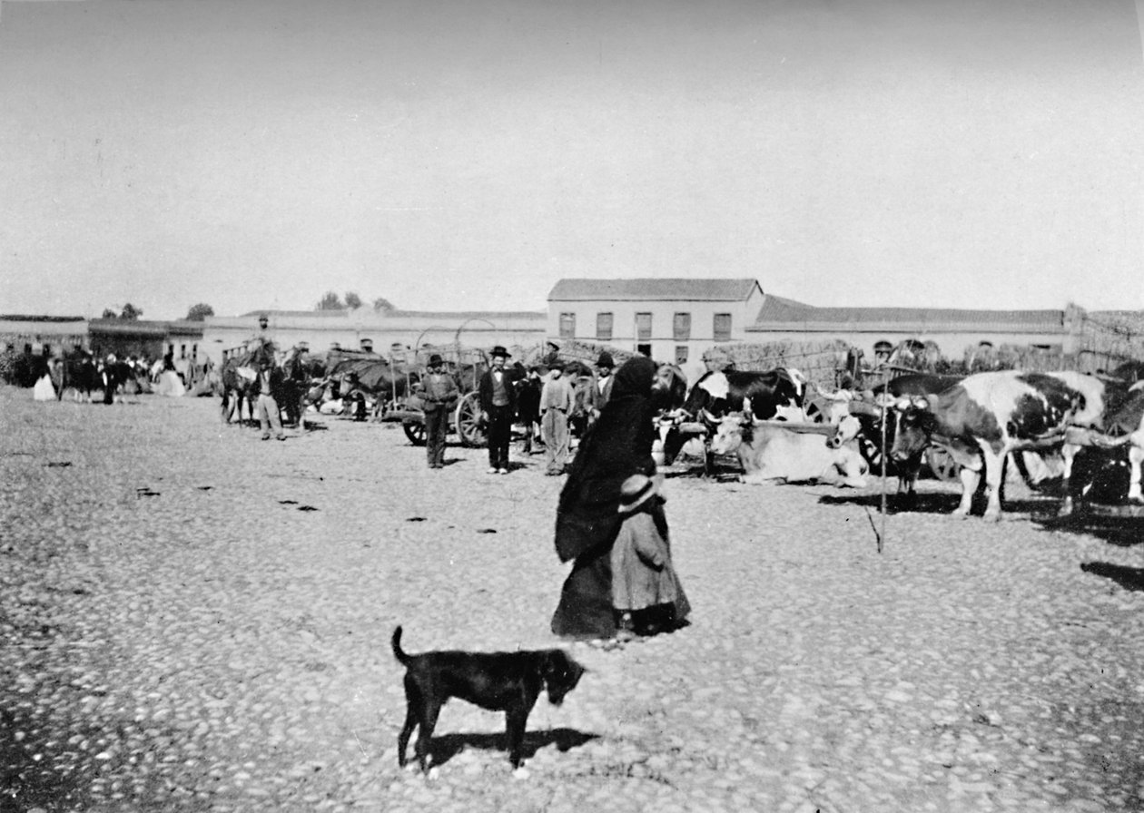 Markkinapäivä Chillanissa, 1911 tekijältä Unbekannt