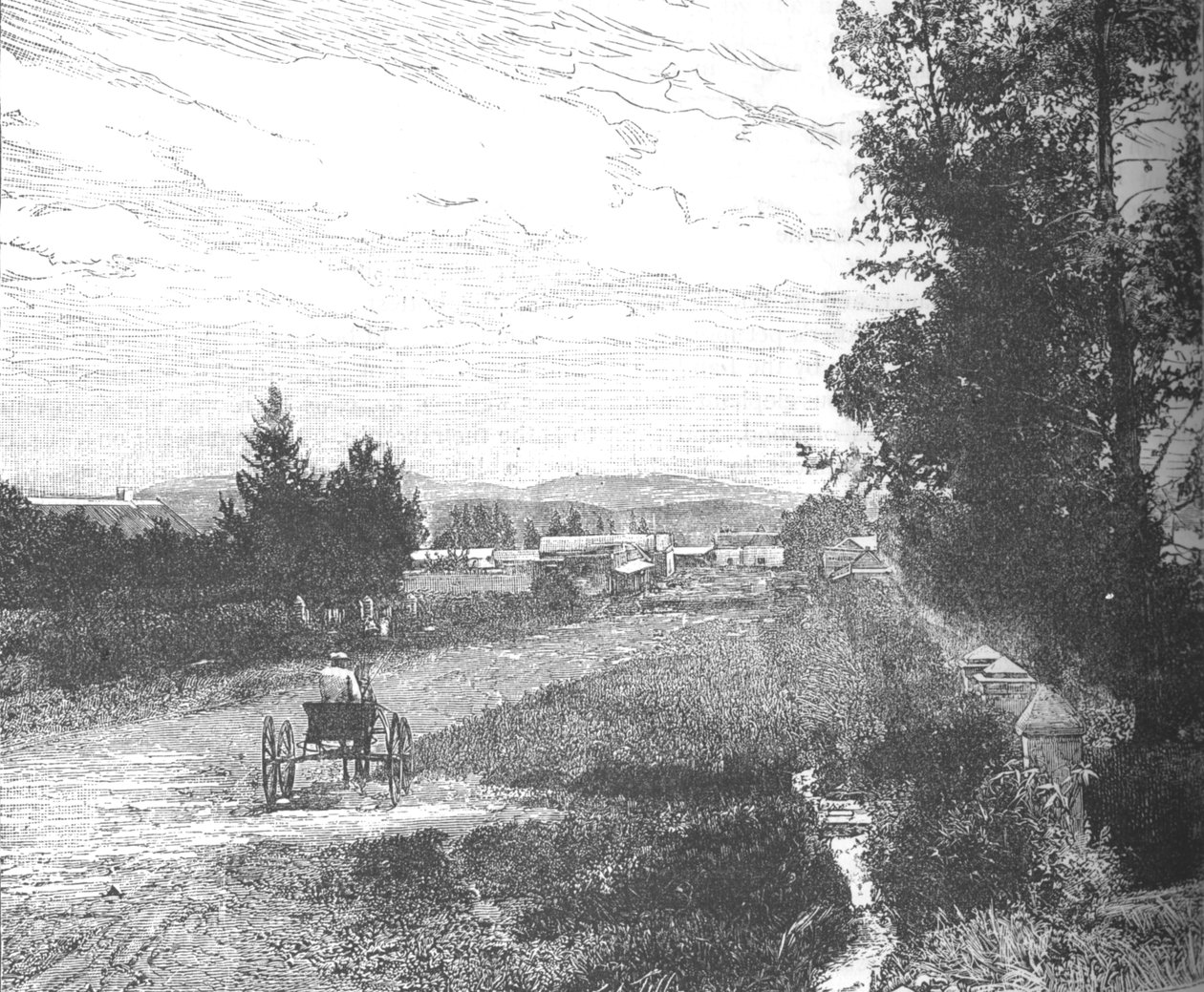 Market Street, Pretoria, 1880-luku tekijältä Unbekannt
