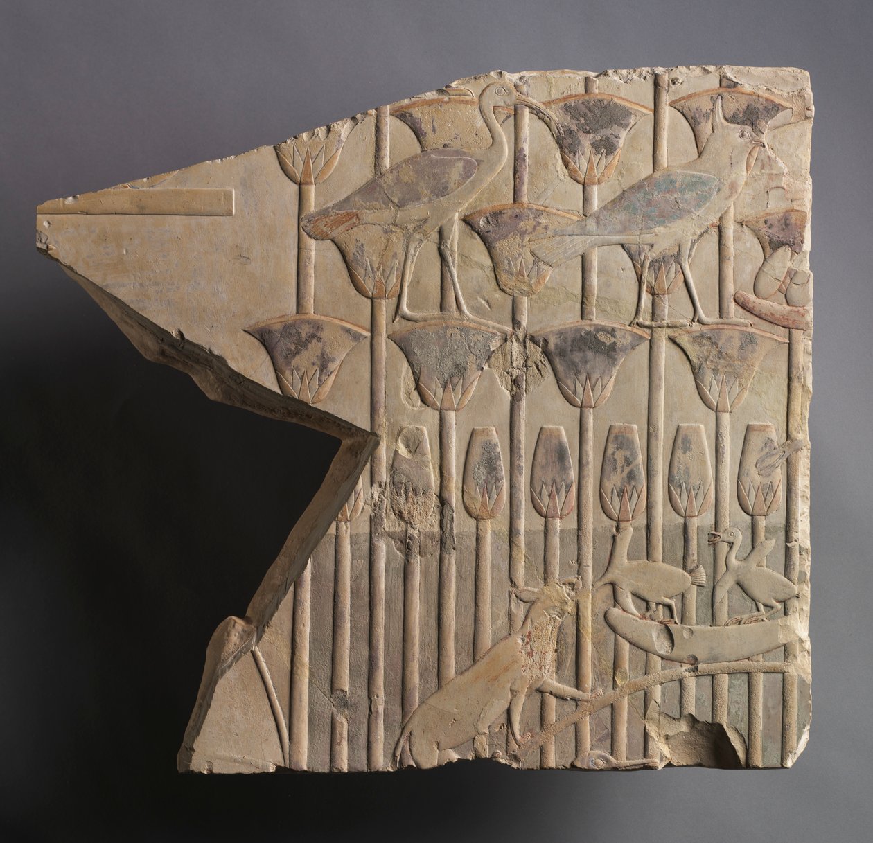 Suokohtaus kissan ja lintujen kanssa, c. 667-647 eaa. tekijältä Unbekannt