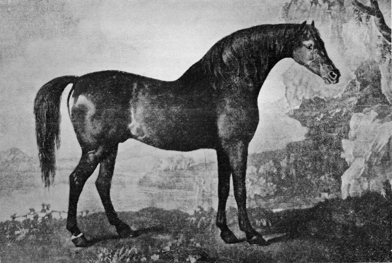 Marske, 1750-1779, 1911 tekijältä Unbekannt