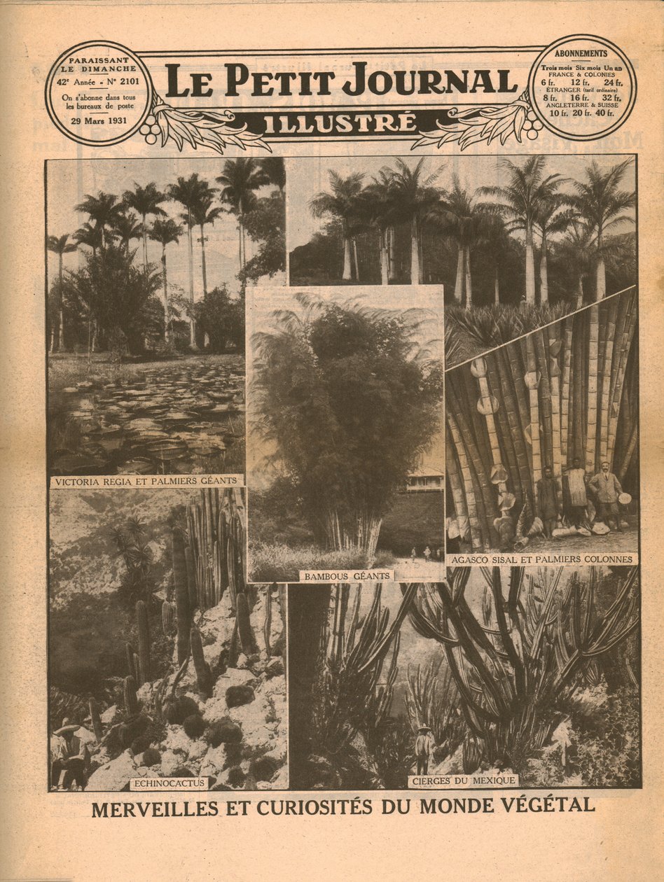Kasvimaailman ihmeitä ja kummallisuuksia, 1931. tekijältä Unbekannt