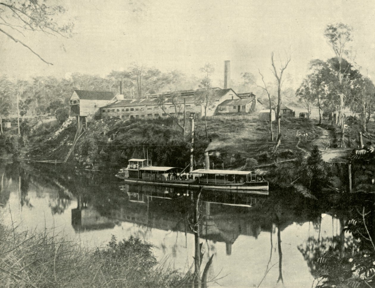 Meat Works, lähellä Graftonia, New South Wales, 1901. tekijältä Unbekannt