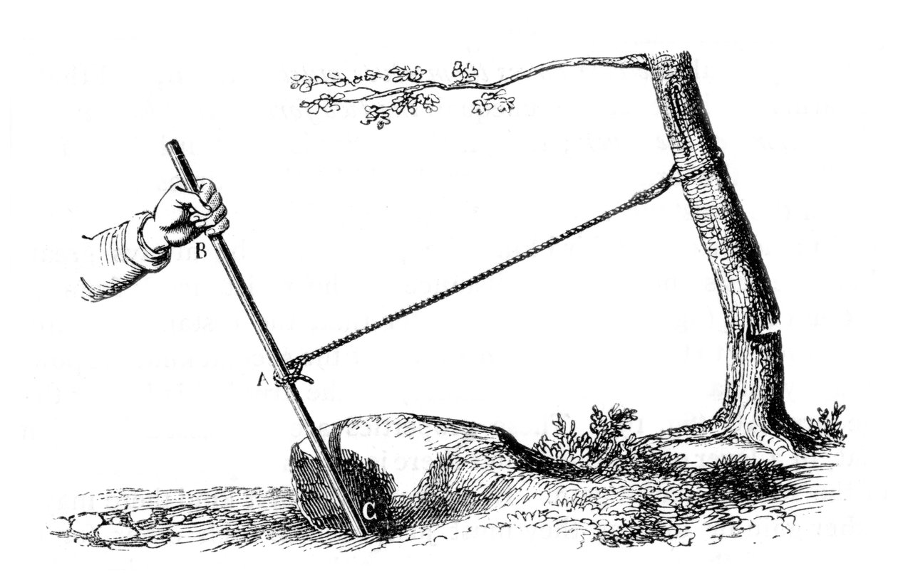 Mekaaninen etu: Vivun teho, 1877 tekijältä Unbekannt