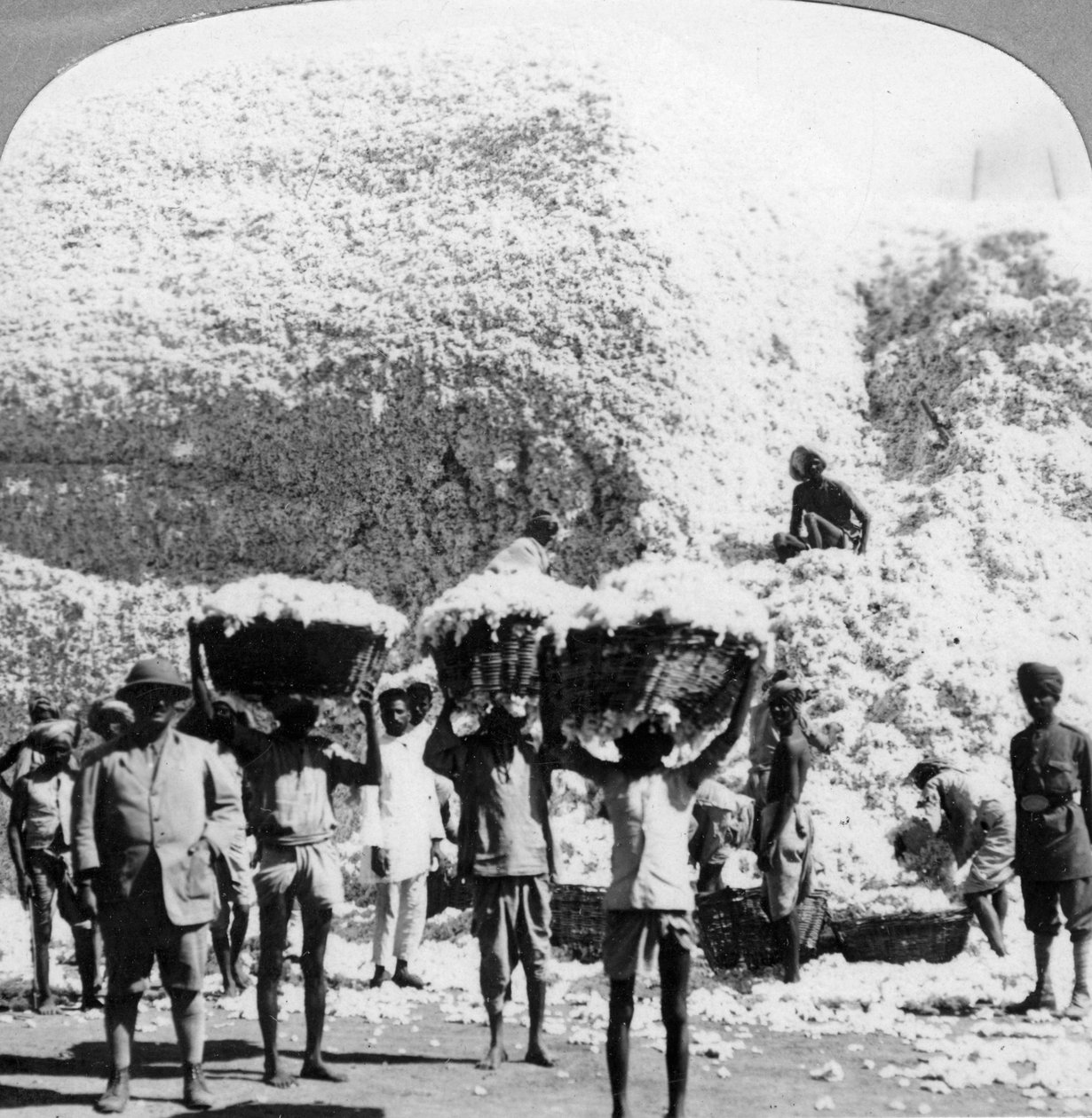 Miehet kantamassa puuvillakoreja Indoren puuvillatehtaalla Intiassa, 1900-luku tekijältä Unbekannt