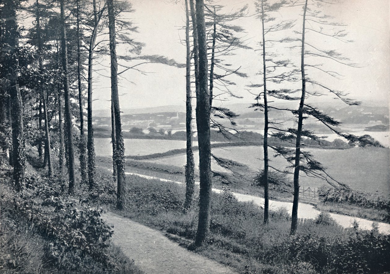 Menai - Bangor Woodista, 1895 tekijältä Unbekannt