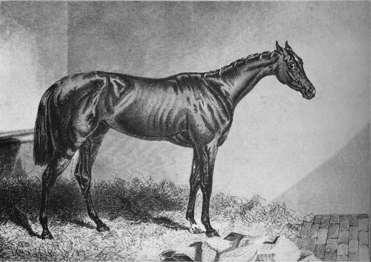 Mendicant, 1800-luku, 1911 tekijältä Unbekannt