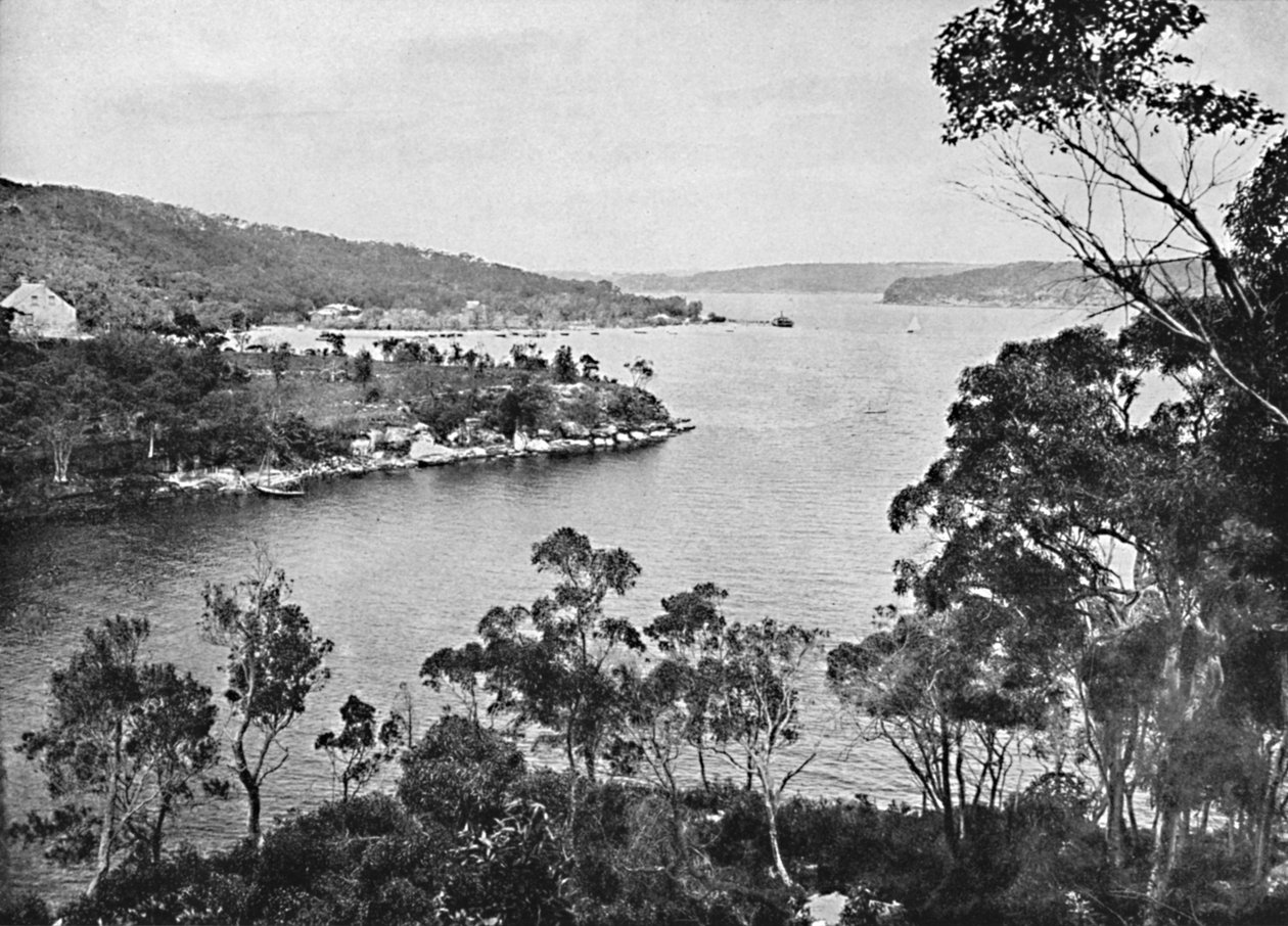 Middle Harbour, Spit Roadilta, c1900. tekijältä Unbekannt