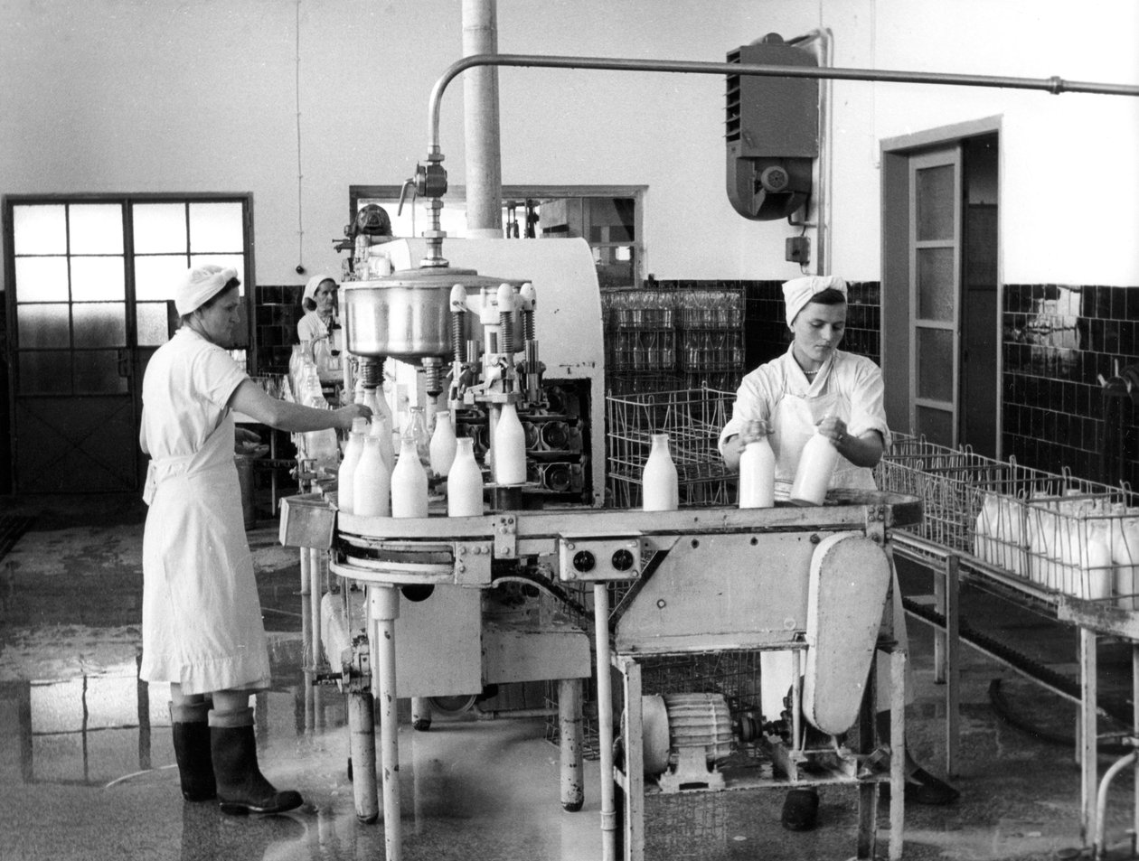 Maidontuotanto, Zagreb, Jugoslavia, 1952 tekijältä Unbekannt