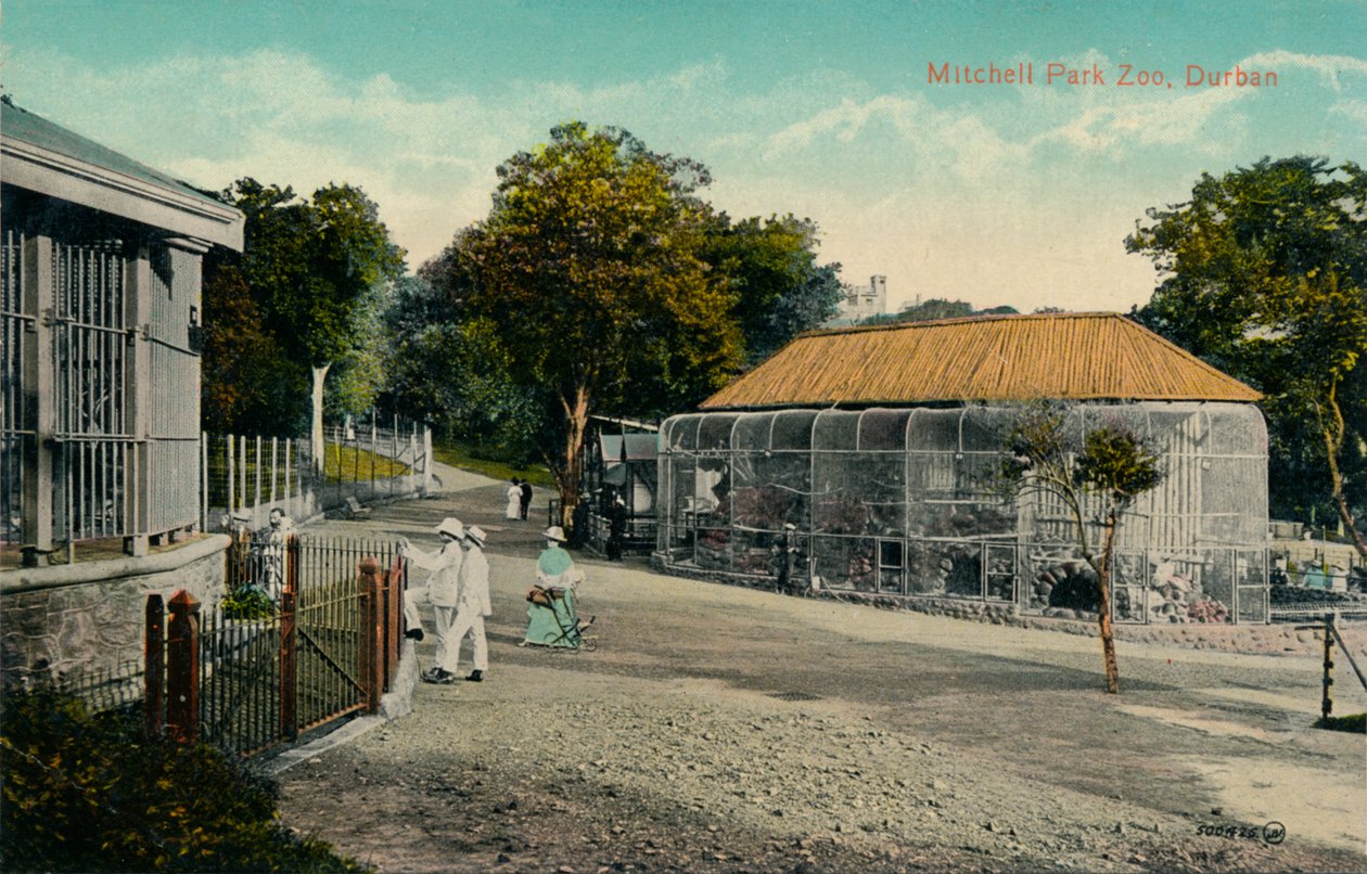 Mitchell Parkin eläintarha, Durban, 1915 tekijältä Unbekannt