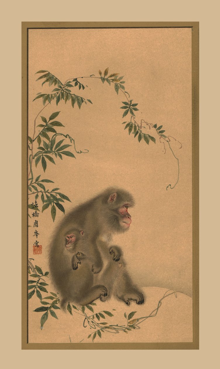 Apina, 1800-luku, 1886 tekijältä Unbekannt