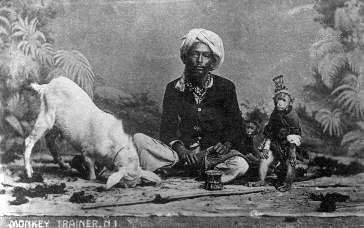 Apinakouluttaja, Intia, 1900-luku tekijältä Unbekannt