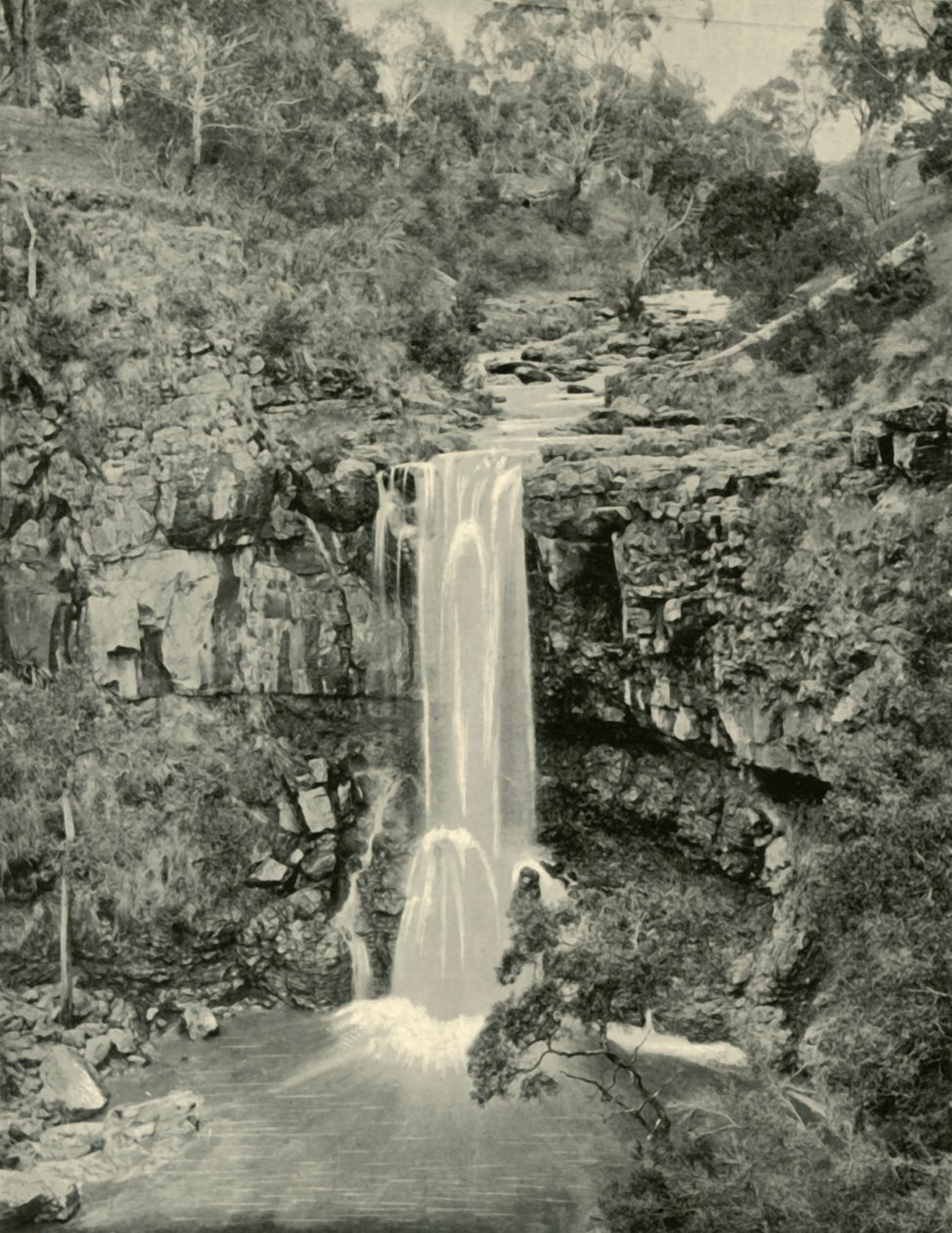 Moorabool Falls, Victoria, 1901. tekijältä Unbekannt
