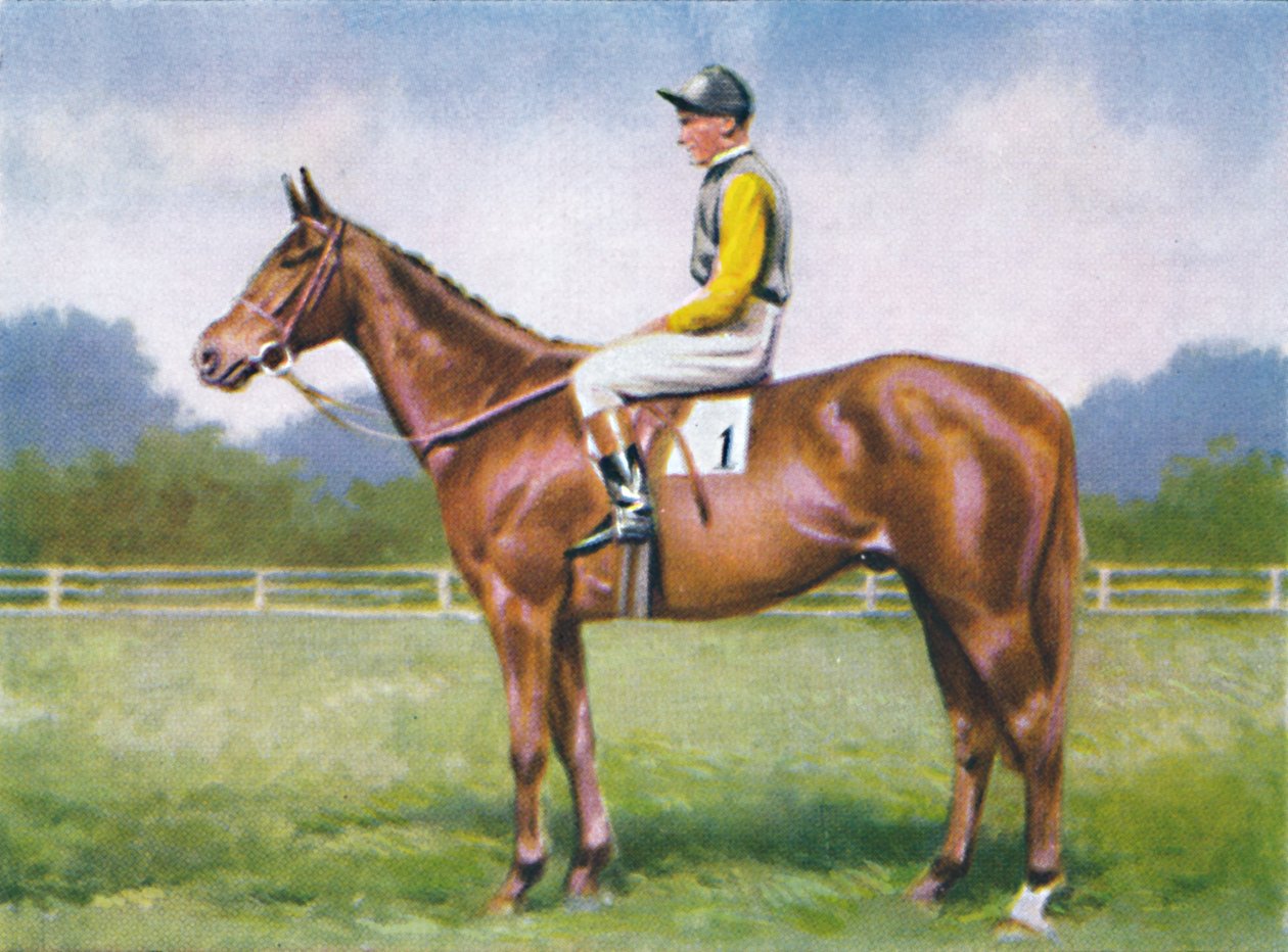 Morsekoodi, Jockey: D. Morgan, 1939 tekijältä Unbekannt