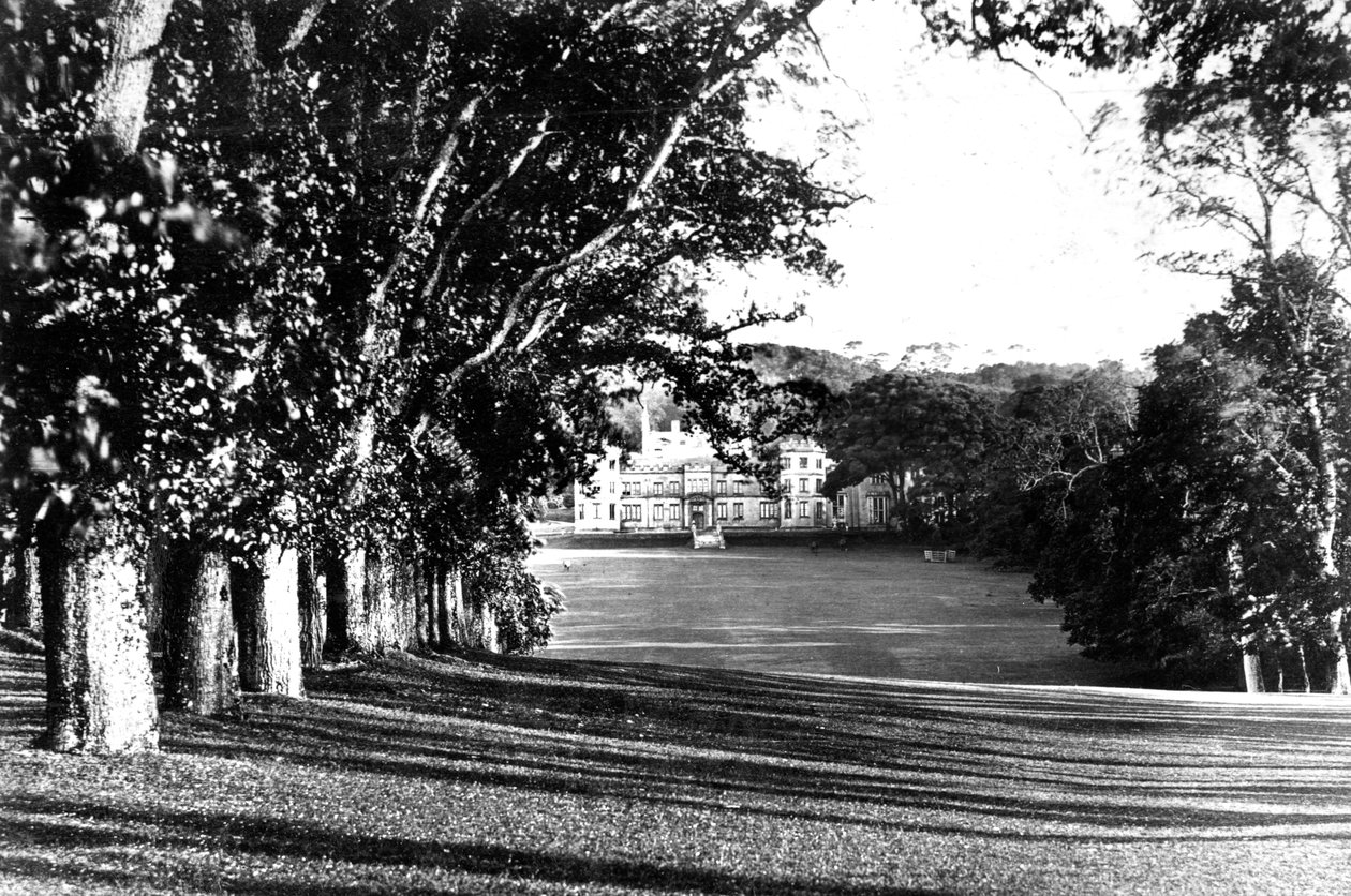 Mount Edgcumbe, c1882 tekijältä Unbekannt