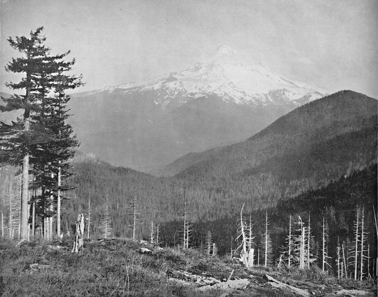 Mount Hood, Oregon, 1897. tekijältä Unbekannt