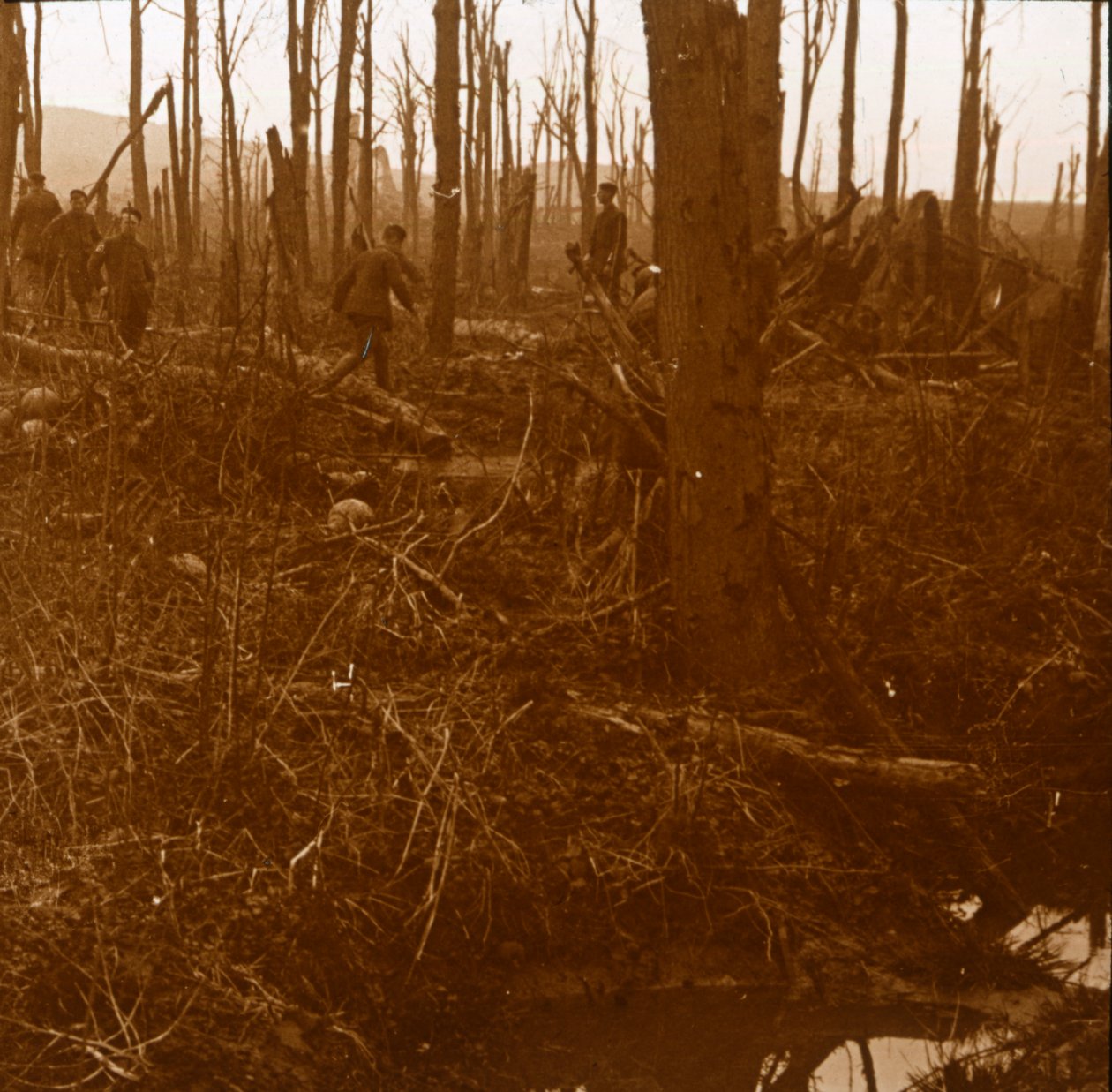 Mount Kemmel, Flanderi, Belgia, c1914-c1918 tekijältä Unbekannt