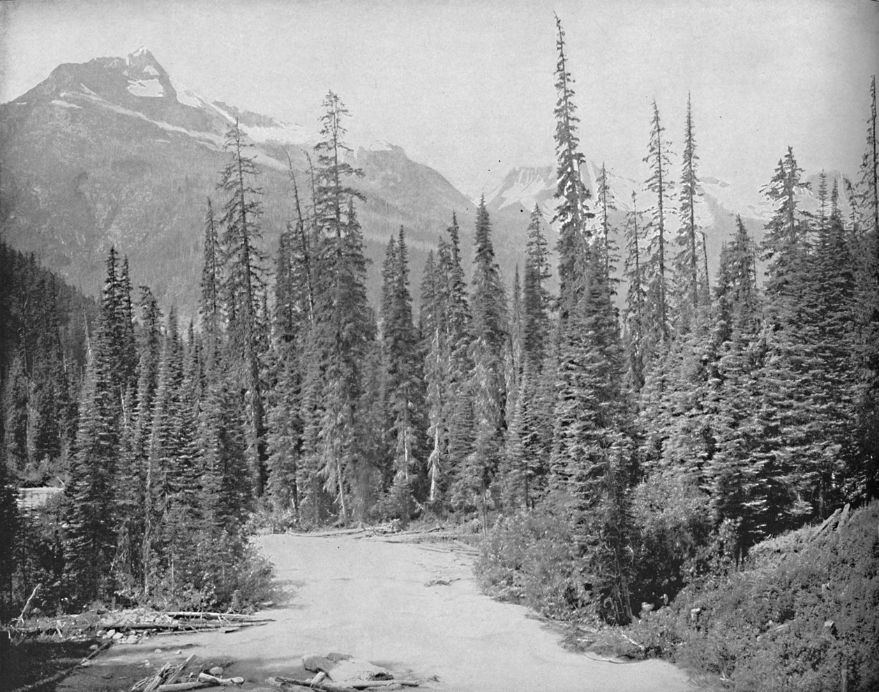Mounts Cheops and Hermit, Selkirk Range of the Rockies, c1897. tekijältä Unbekannt