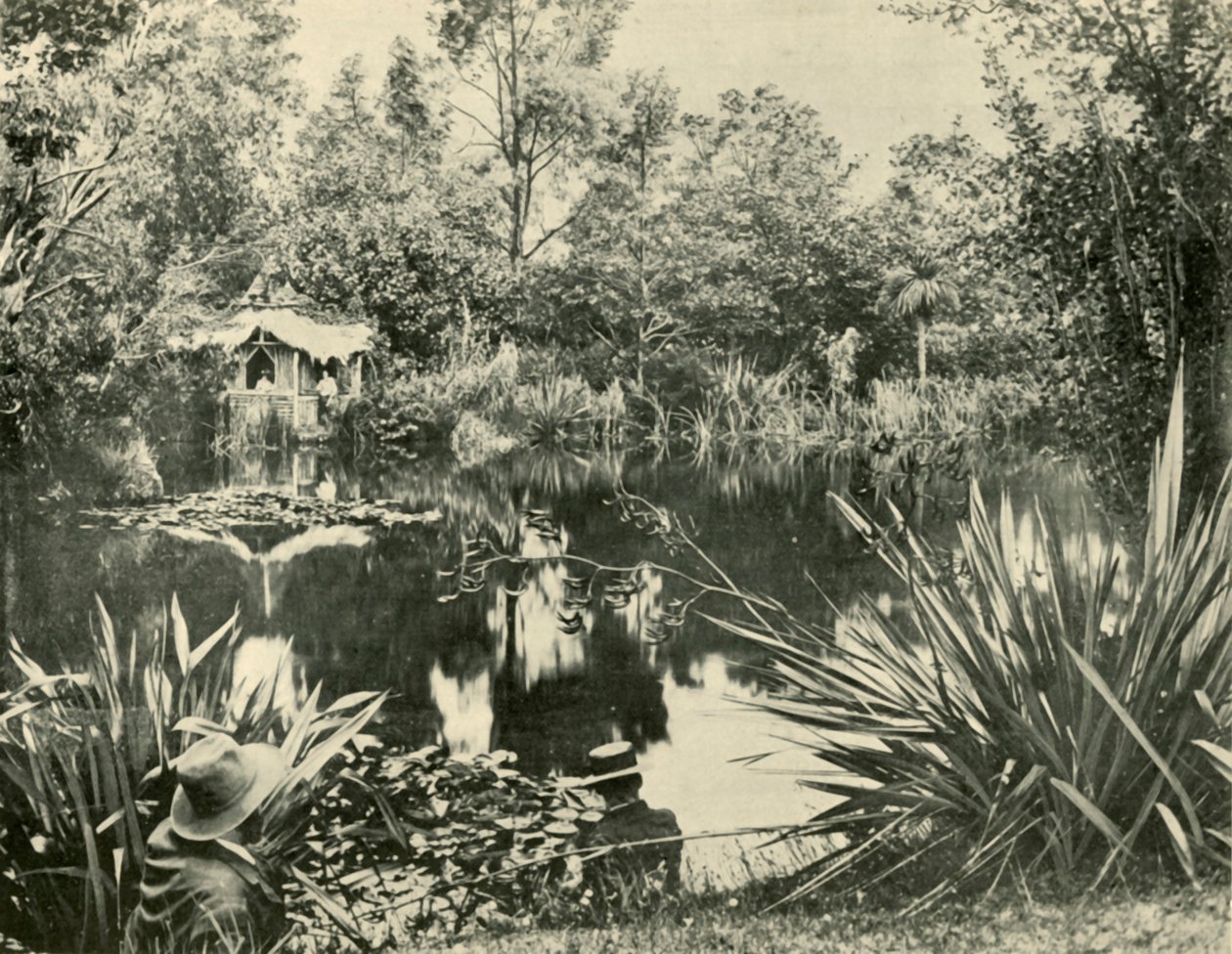 Mr. Ryans Gardens, Mount Macedon, Victoria, 1901. tekijältä Unbekannt