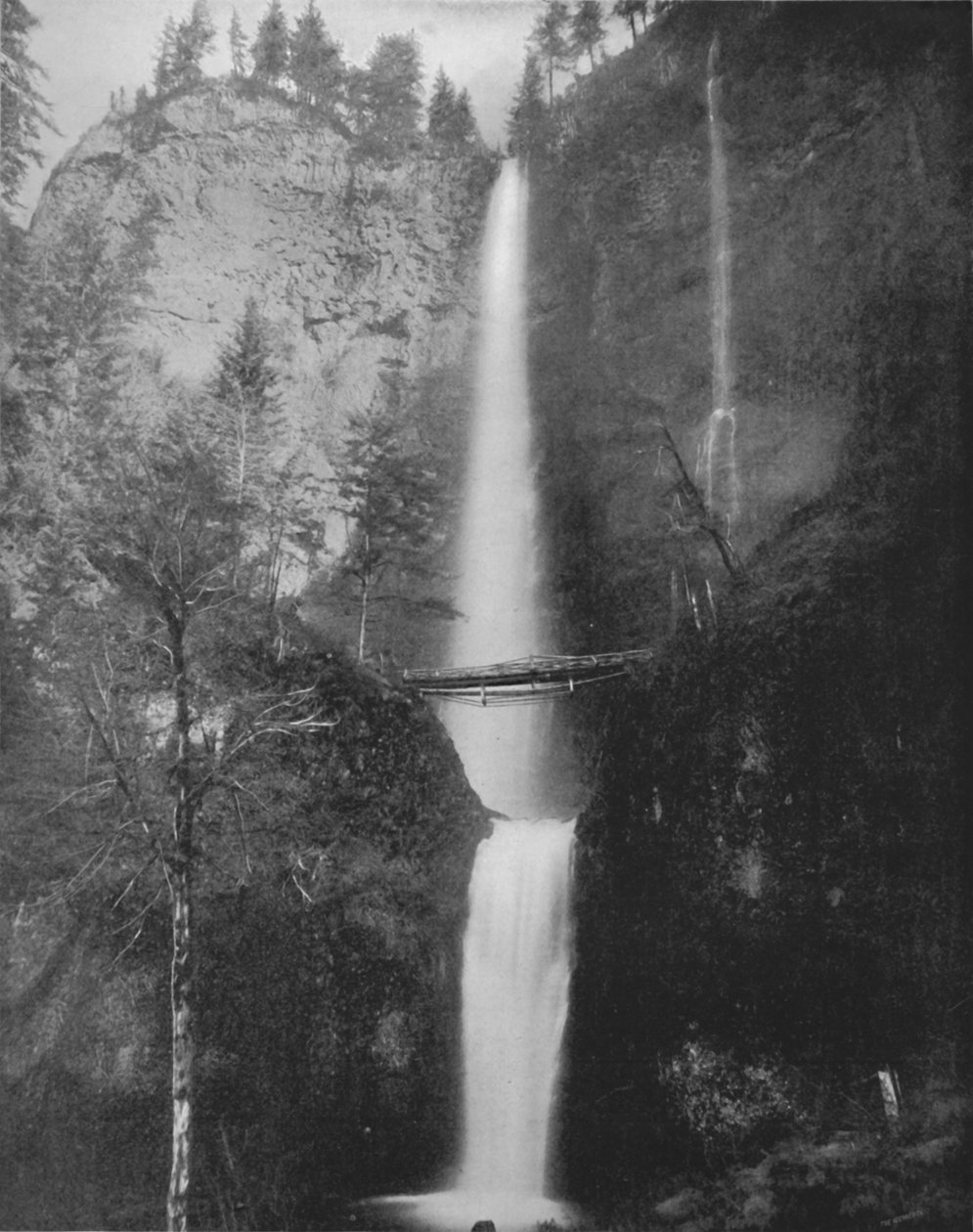 Multnomah Falls, 1800-luku tekijältä Unbekannt