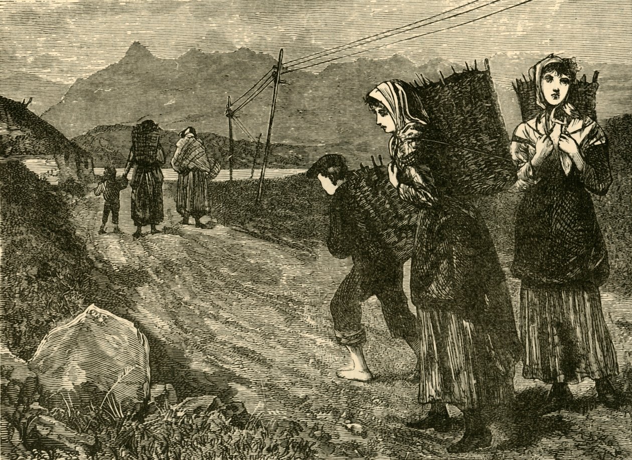 Alkuperäiset etsivät turvetta, 1898. tekijältä Unbekannt