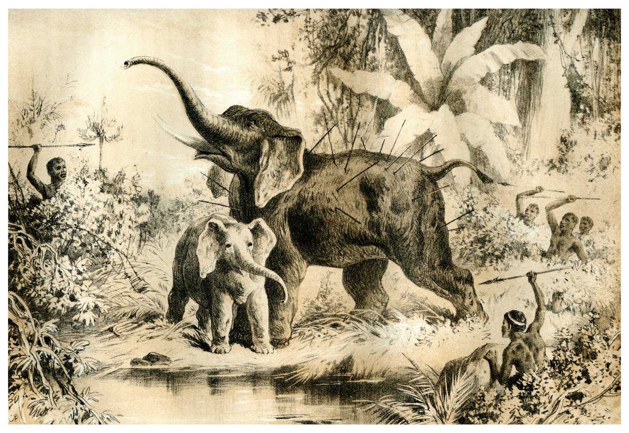 Natives Spearing an Elephant, 1883 tekijältä Unbekannt