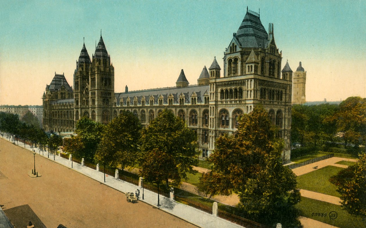 Natural History Museum, Lontoo, 1910. tekijältä Unbekannt