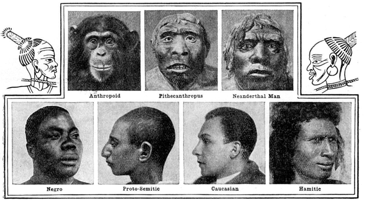 Natures evolutionary designs in nens, 1922 tekijältä Unbekannt