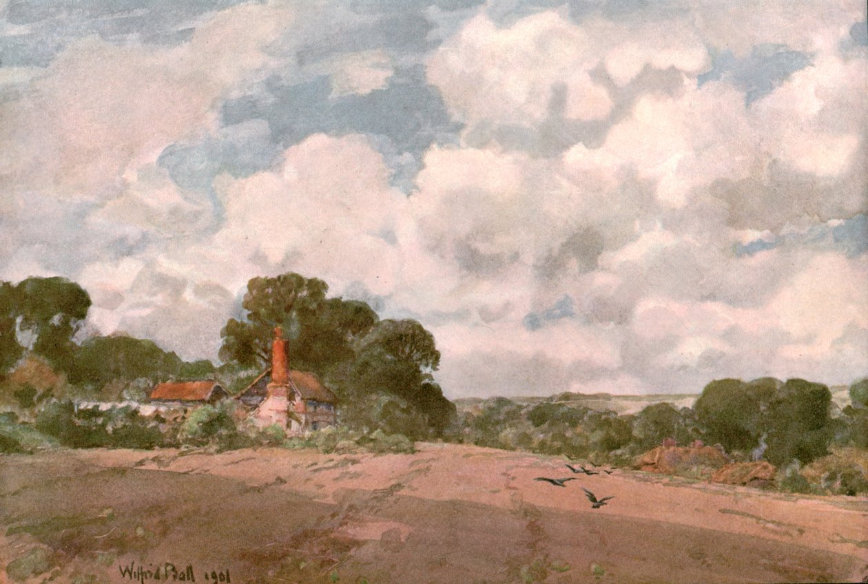 Near the Hogsback, Surrey, 1901. tekijältä Unbekannt
