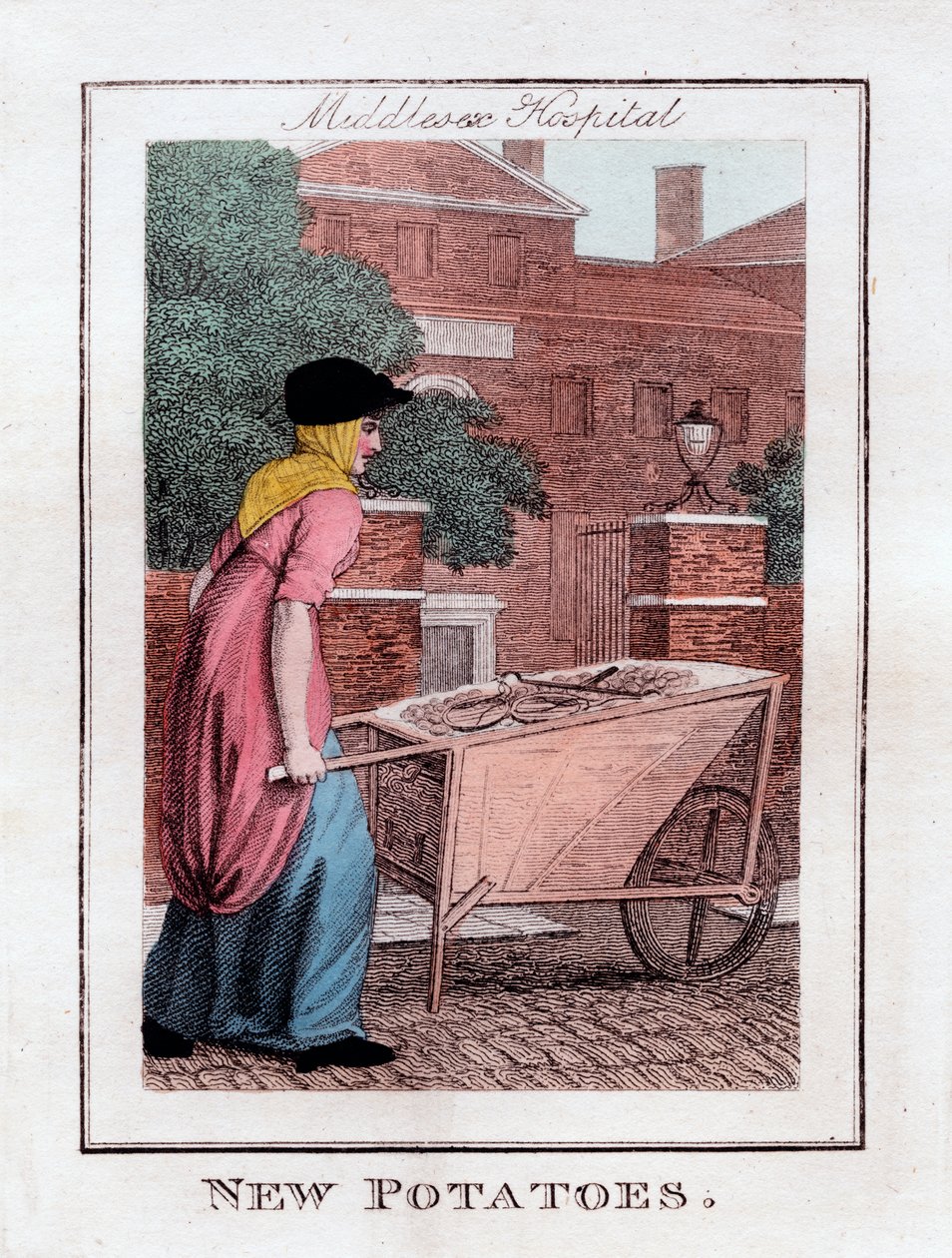 New Potatoes, Middlesex Hospital, Lontoo, 1805 tekijältä Unbekannt