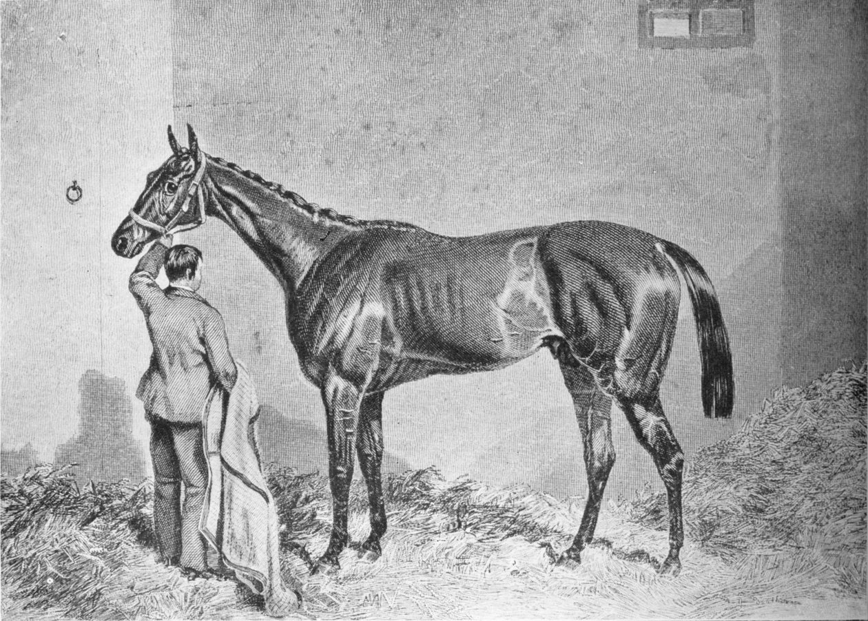 Newminster, 1848-1868, 1911 tekijältä Unbekannt