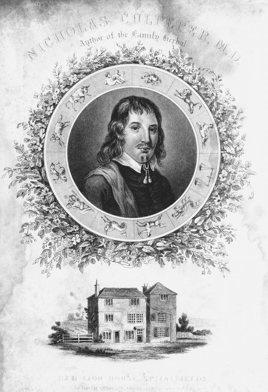 Nicholas Culpepper, c1650 1800-luku tekijältä Unbekannt