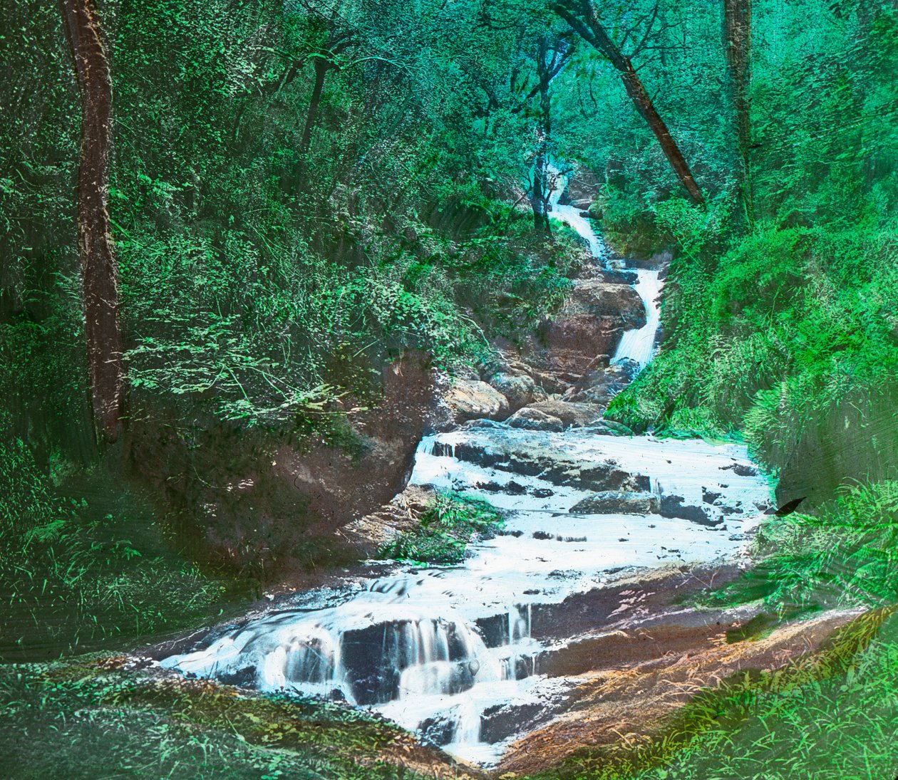 OSullivans Cascade, Killarney, 1910 tekijältä Unbekannt