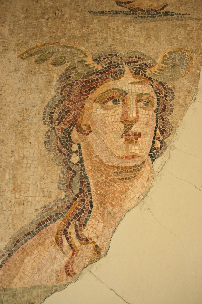 Oceanus ja Thetis Mosaic, Iskenderumista, Turkista tekijältä Unbekannt