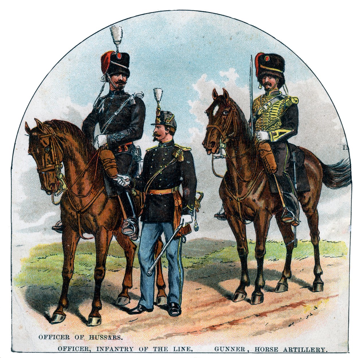 Husaarien upseeri, upseeri, linjan jalkaväki, ampuja, hevostykistö, 1800-luku tekijältä Unbekannt